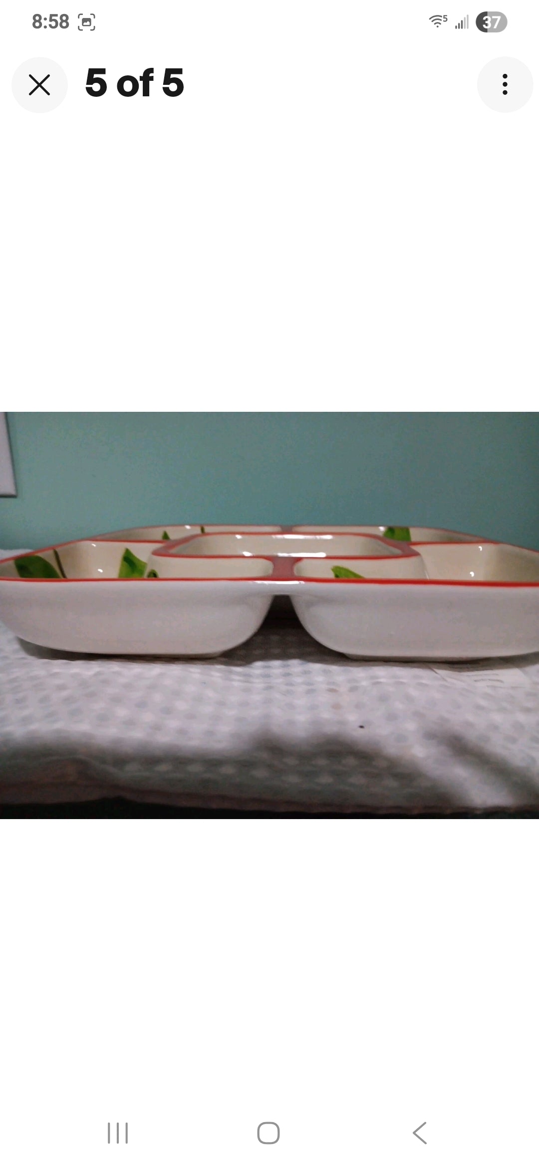 Vntg Sectional Platter Vibrant Hand Painted (Parrot In Paradise Lost)