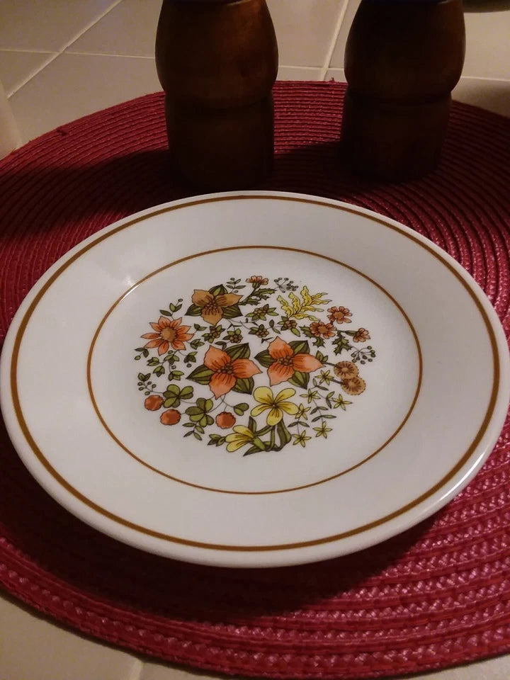 Retro 70's Corelle Lot of 3 - Indian Summer