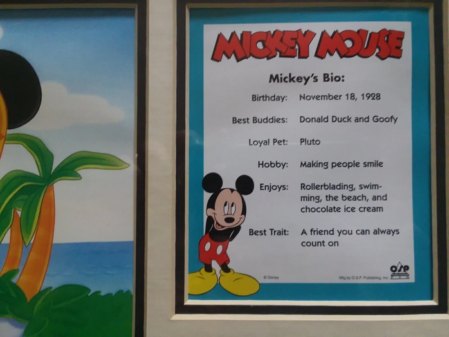 Mickey's Certificate Of Authentication