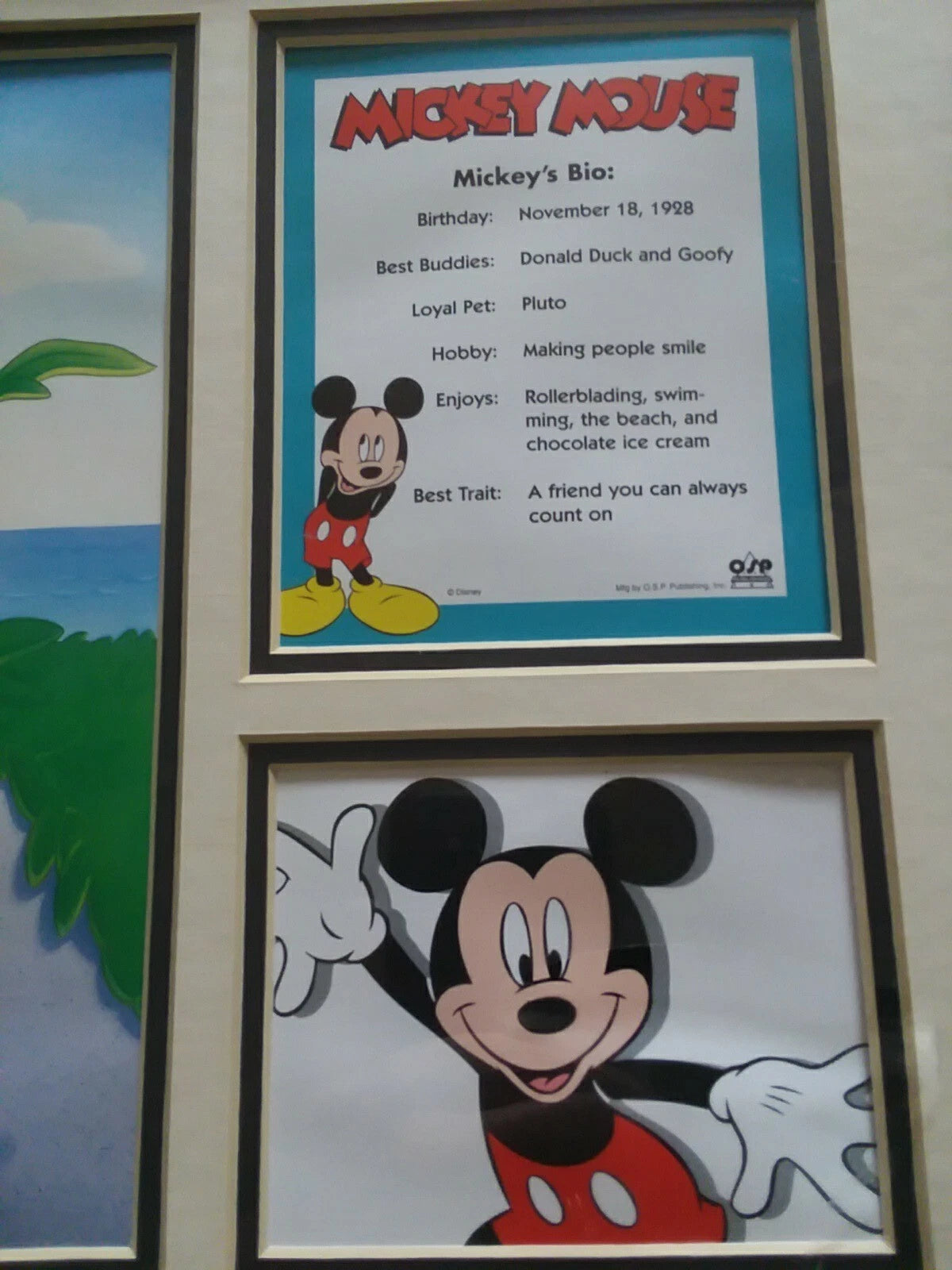 Mickey's Certificate Of Authentication