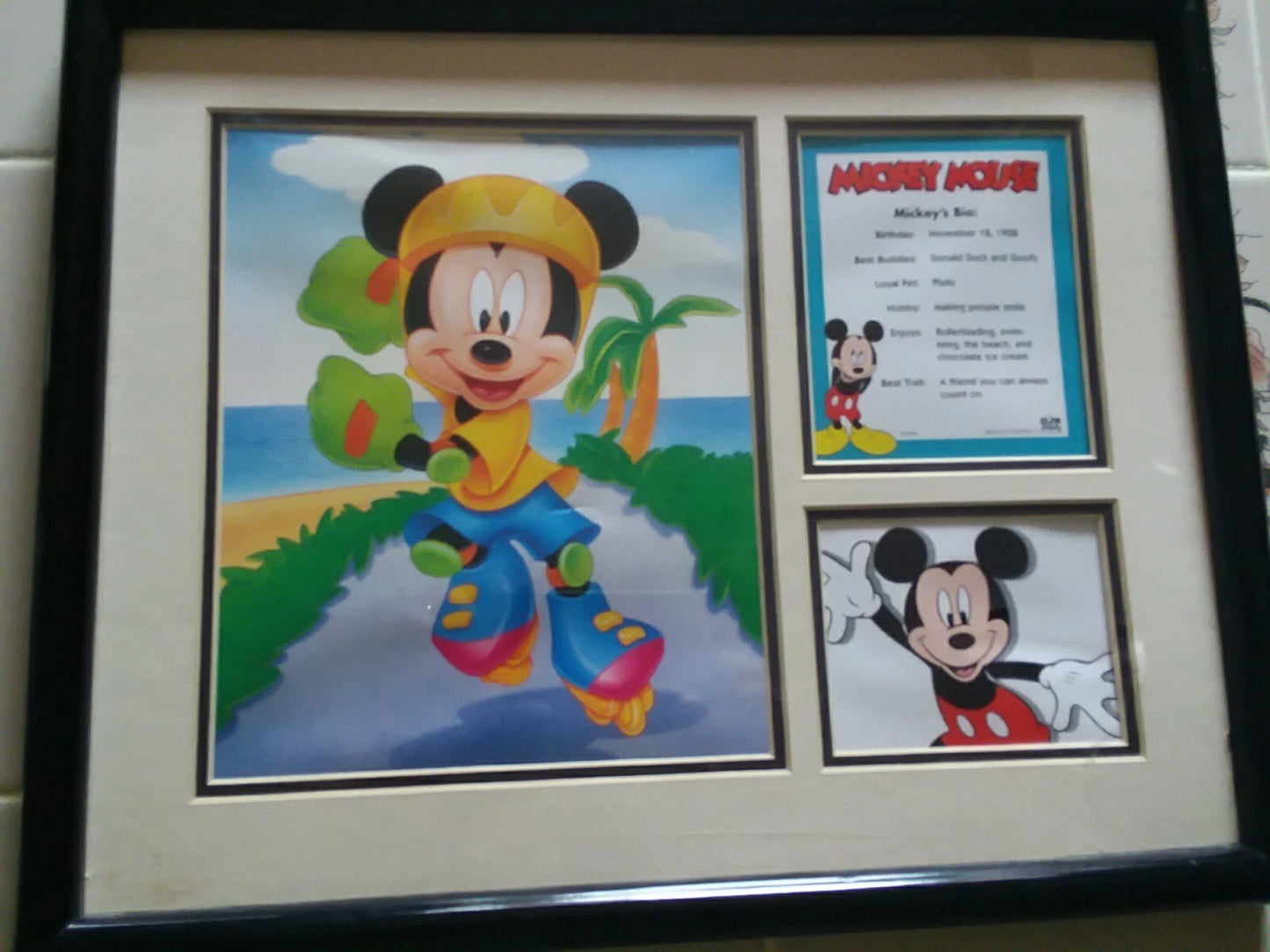 Mickey's Certificate Of Authentication