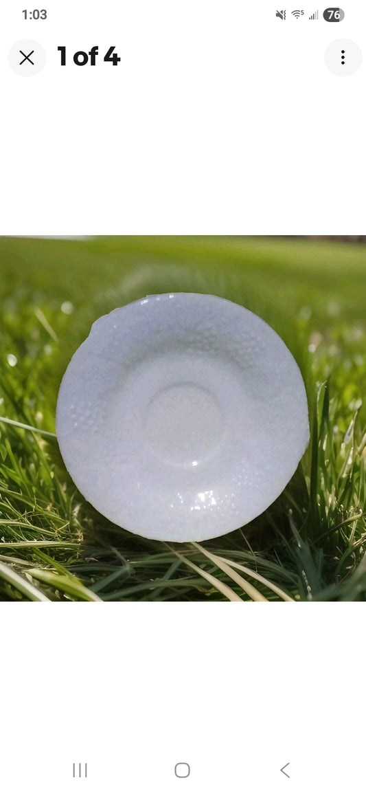 Gibson White China Saucer with Fruit Design