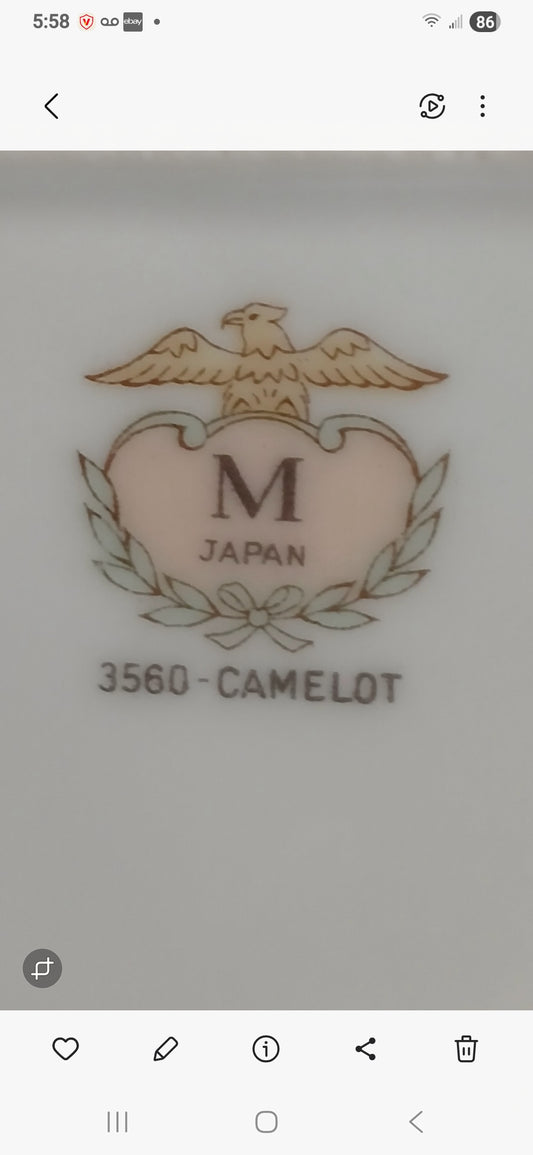 14" Serving Platter  Japan 3560 - Camalot Blue Rose  With Silver Etch Trim