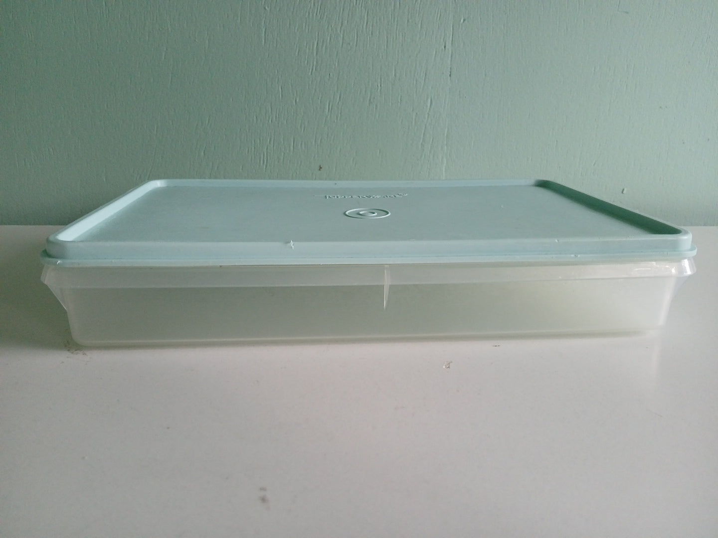 Vintage Tupperware Organizer rectangle container 11"X 2" 795-6