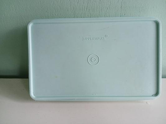 Vintage Tupperware Organizer rectangle container 11"X 2" 795-6